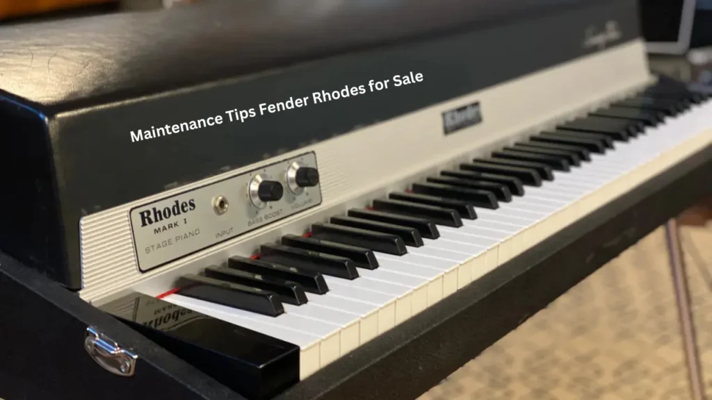 Maintenance Tips Fender Rhodes for Sale