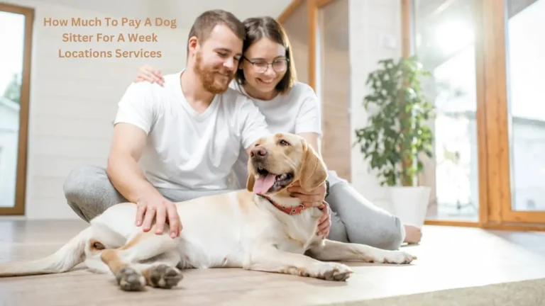 How Much To Pay A Dog Sitter For A Week