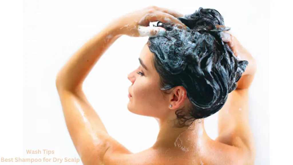 Wash Tips Best Shampoo for Dry Scalp