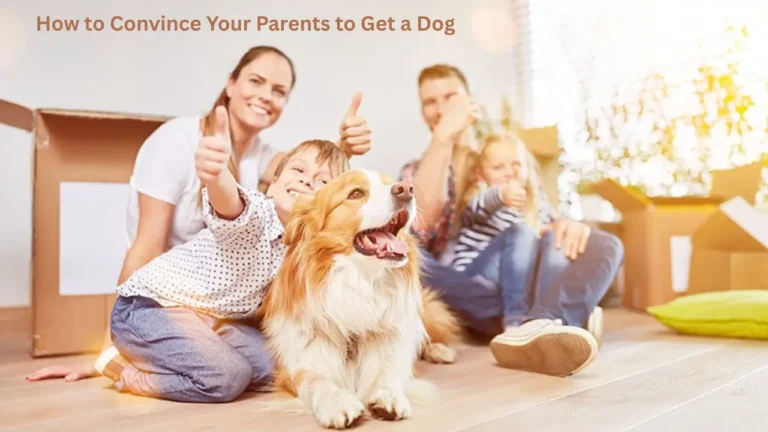 How to Convince Your Parents to Get a Dog